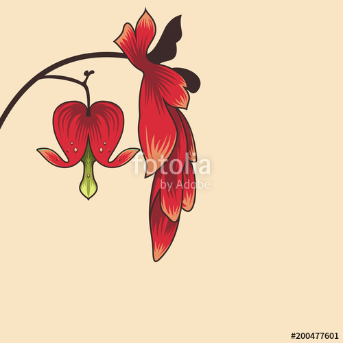 500x500 Bleeding Heart Flower On The Dark Background