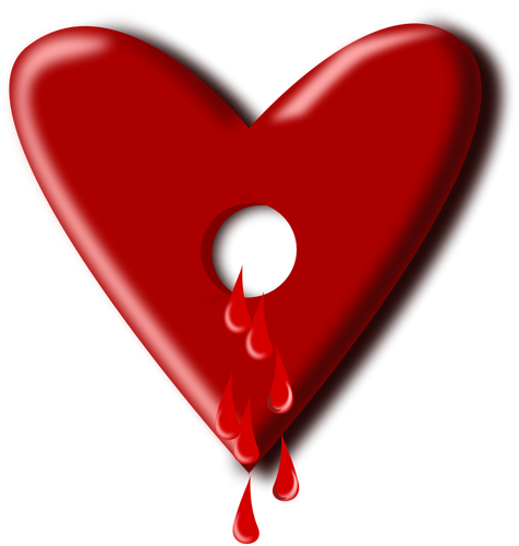 476x500 Hollow Bleeding Heart Vector Image