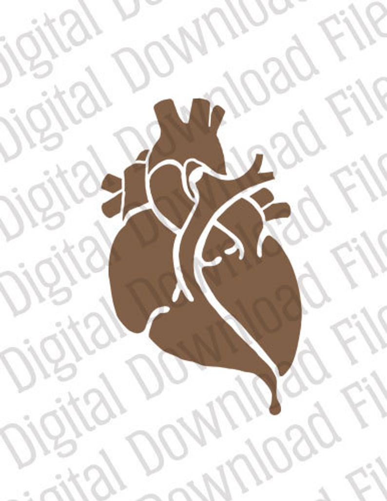 Free Free 64 Bleeding Heart Flower Svg SVG PNG EPS DXF File
