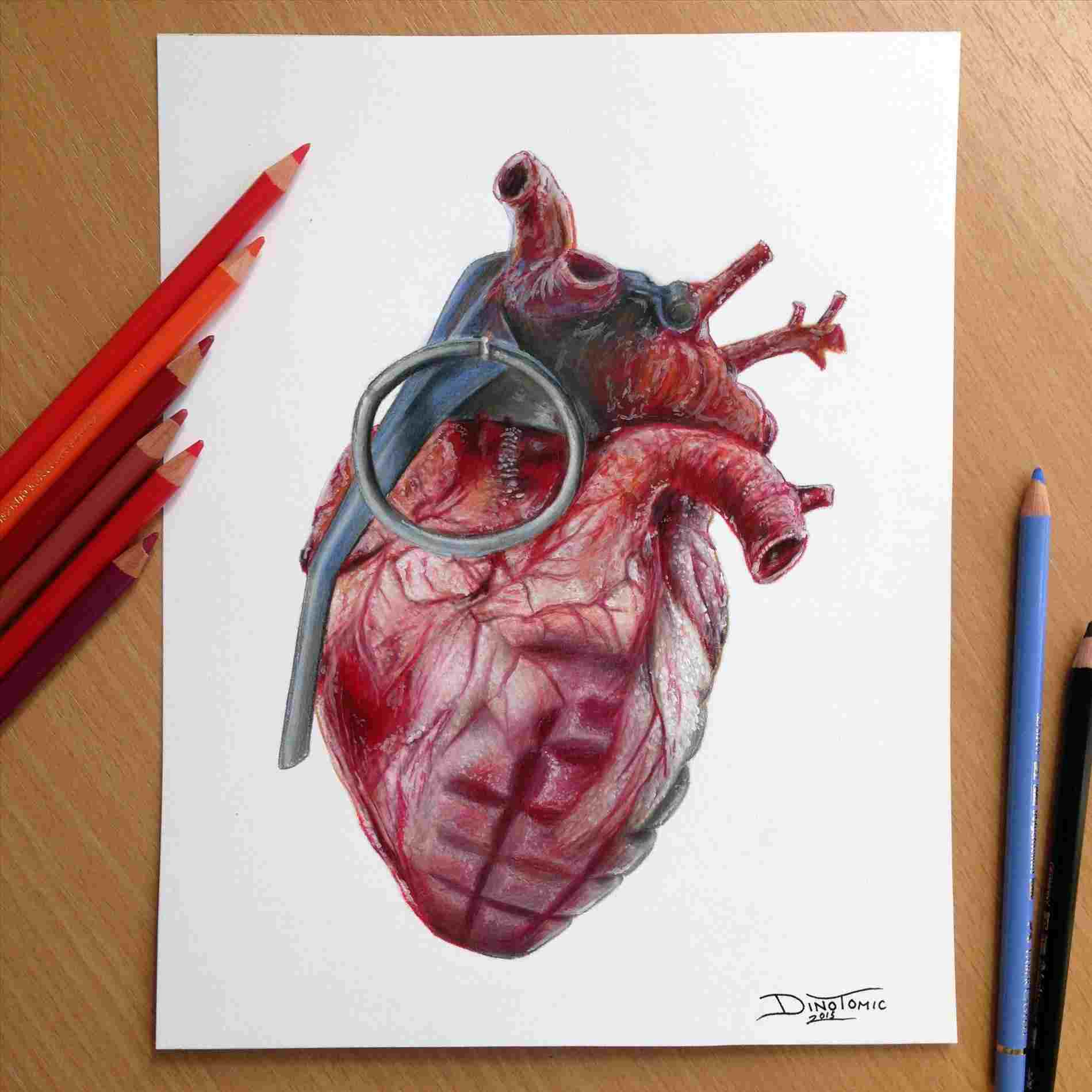 1899x1899 Bleeding Heart Realistic Heart Drawing Anatomical Human Heart
