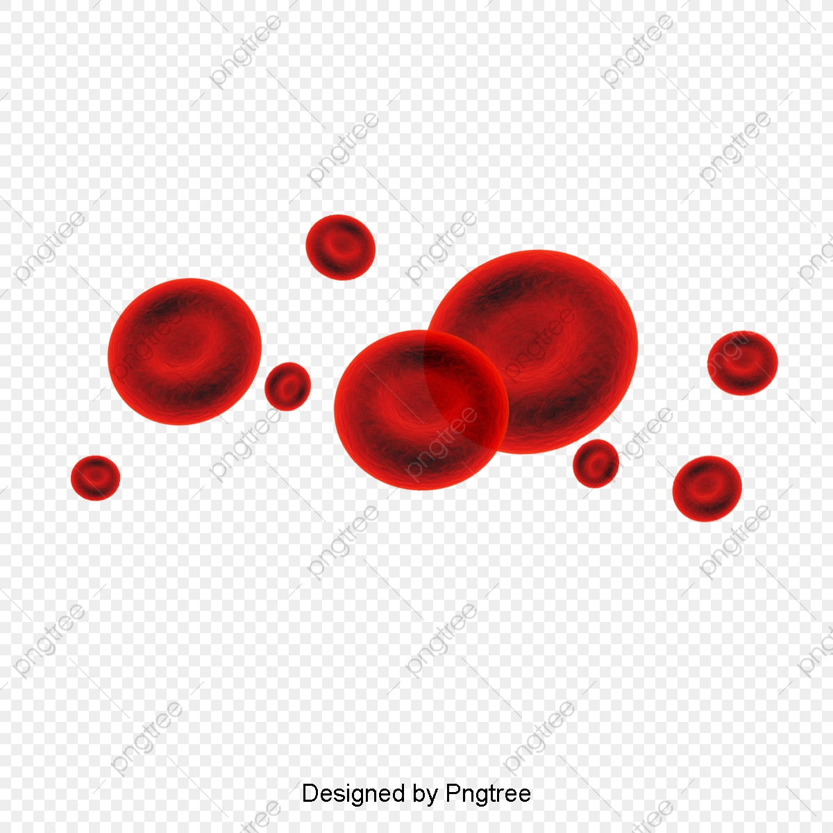 1200x1200 Vector Blood Cell Material, Vector Material, Rbc, Blood Cells Png