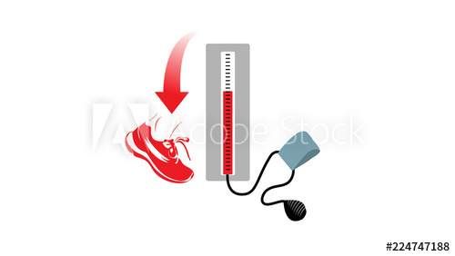 The Role Of Exercise In Management Of Blood Pressure 500x282 The Role Of Exercise In Management Of Blood Pressure