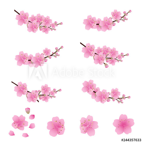 500x500 Sakura Flowers Icon Set Cherry Blossom Vector Illustration