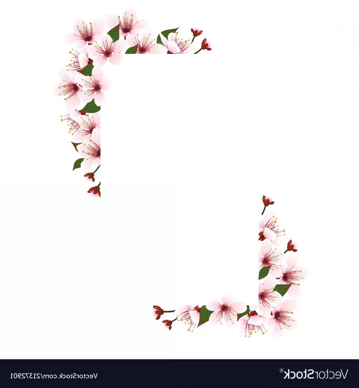 1200x1296 Square Frame With Cherry Blossom Vector Lamaison