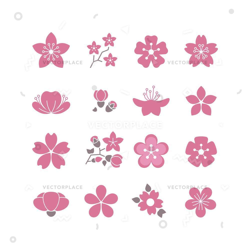 1000x1000 Cherry Pink Flower Spring Sakura Blossom Vector Illustration