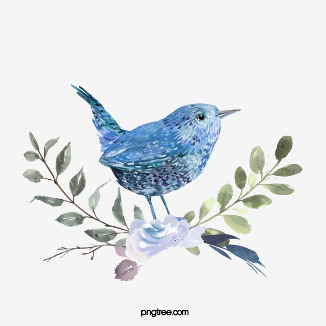 Blue Bird Watercolor Hand Drawn Animal, Bird, Blue, Flowers 640x640 Blue Bird Watercolor Hand Drawn Animal, Bird, Blue, Flowers