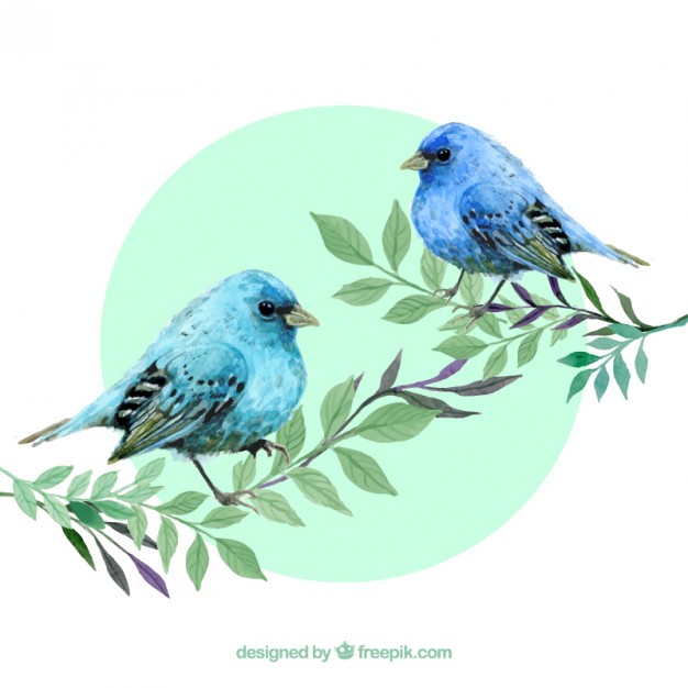 Watercolour Blue Birds Vector Free Download 626x626 Watercolour Blue Birds Vector Free Download