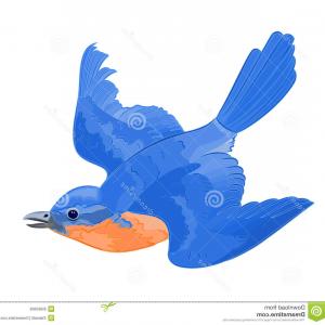 Birds Set Flying Birds Vector Soidergi 300x300 Birds Set Flying Birds Vector Soidergi