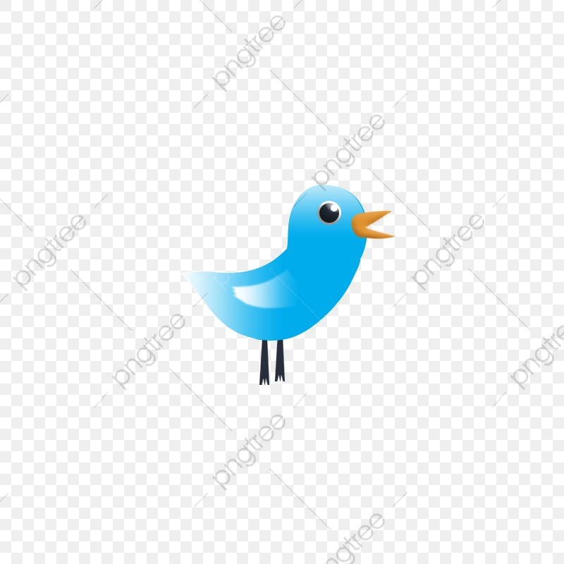 Blue Bird Cartoon Vector Png, Png, Cute, Blue Png Transparent 800x800 Blue Bird Cartoon Vector Png, Png, Cute, Blue Png Transparent
