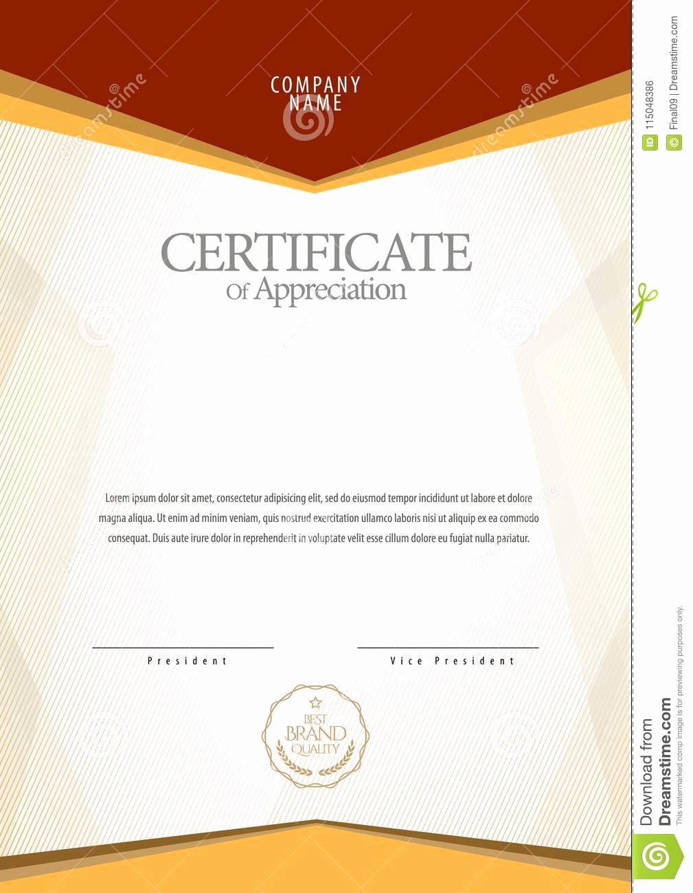 Certificate Border Png Blue Unique Certificate Border Vector 1009x1300 Certificate Border Png Blue Unique Certificate Border Vector