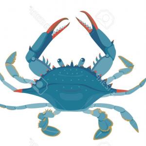 300x300 Crab Clipart Beautiful Crab Vector Illustrations Vector