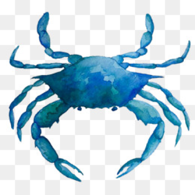 400x400 Crab Png