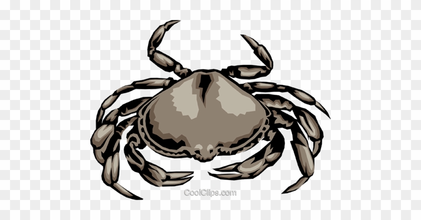 840x440 Crab Royalty Free Vector Clip Art Illustration