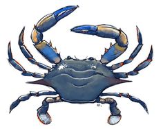 236x188 Crab Clipart Blue Crab For Free Download And Use Images