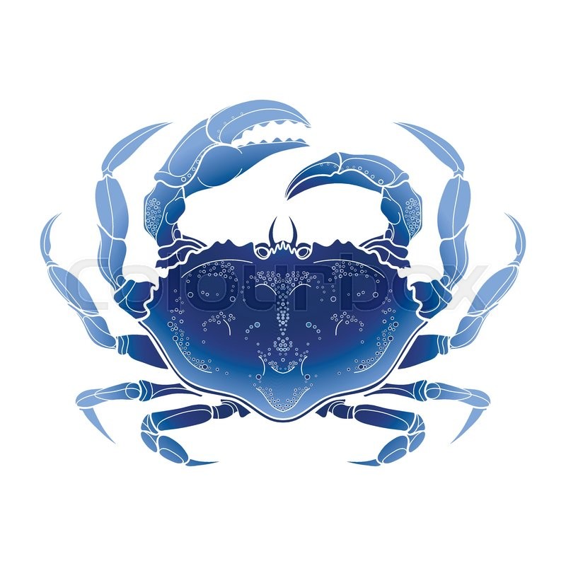 Blue Crab Vector at Vectorified.com | Collection of Blue Crab Vector ...