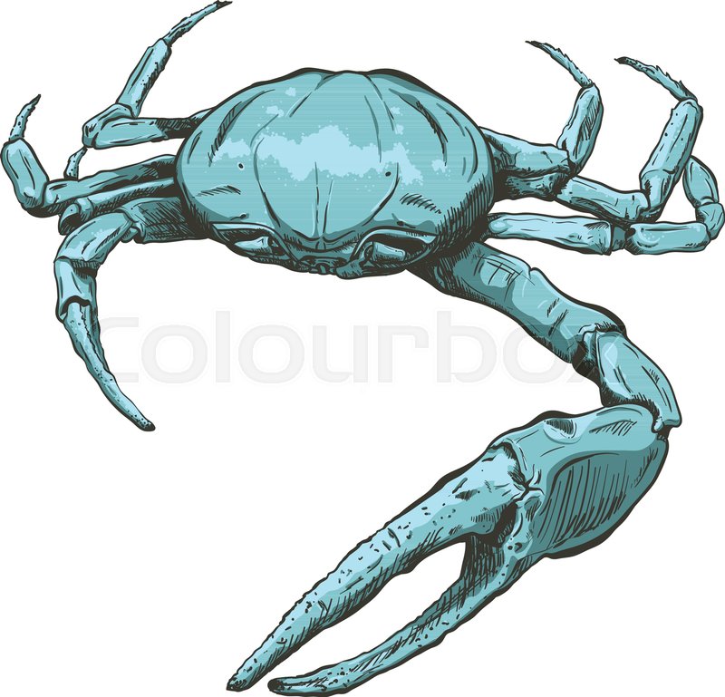 800x769 Illustration With A Large Blue Sea Stock Vector Colourbox