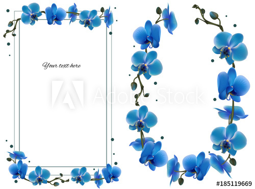 500x370 Orchid Tropical Flowers Floral Vector Background Blue Exotic