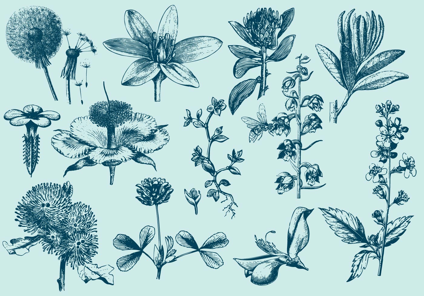 1400x980 Blue Floral Free Vector Art