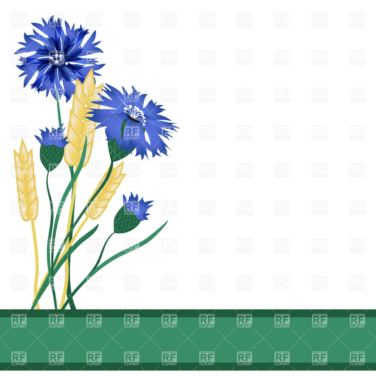 1200x1200 Wheat Ears And Blue Flowers Vector Image Of Plants And Animals