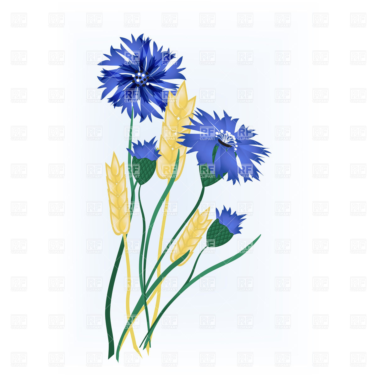 1200x1200 Wheat Ears Of Wheat And Blue Flowers Vector Image Of Plants