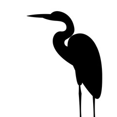 240x240 Great Blue Heron Vector Photos, Royalty Free Images, Graphics