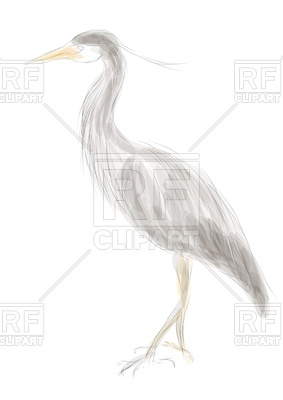 283x400 Grey Heron Vector Image Of Plants And Animals Arkela