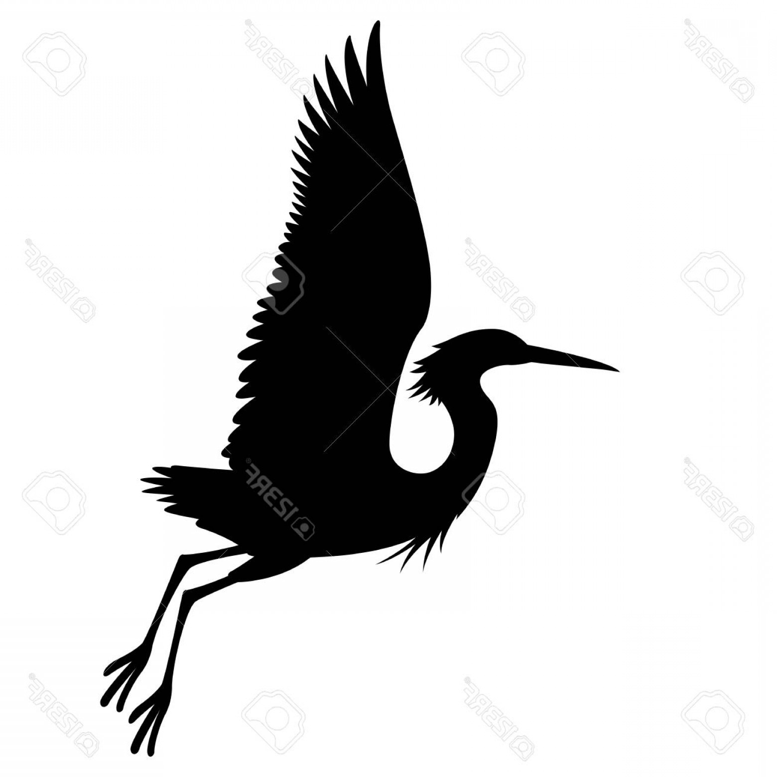 1560x1560 Heron Bird Vector Newwaysys