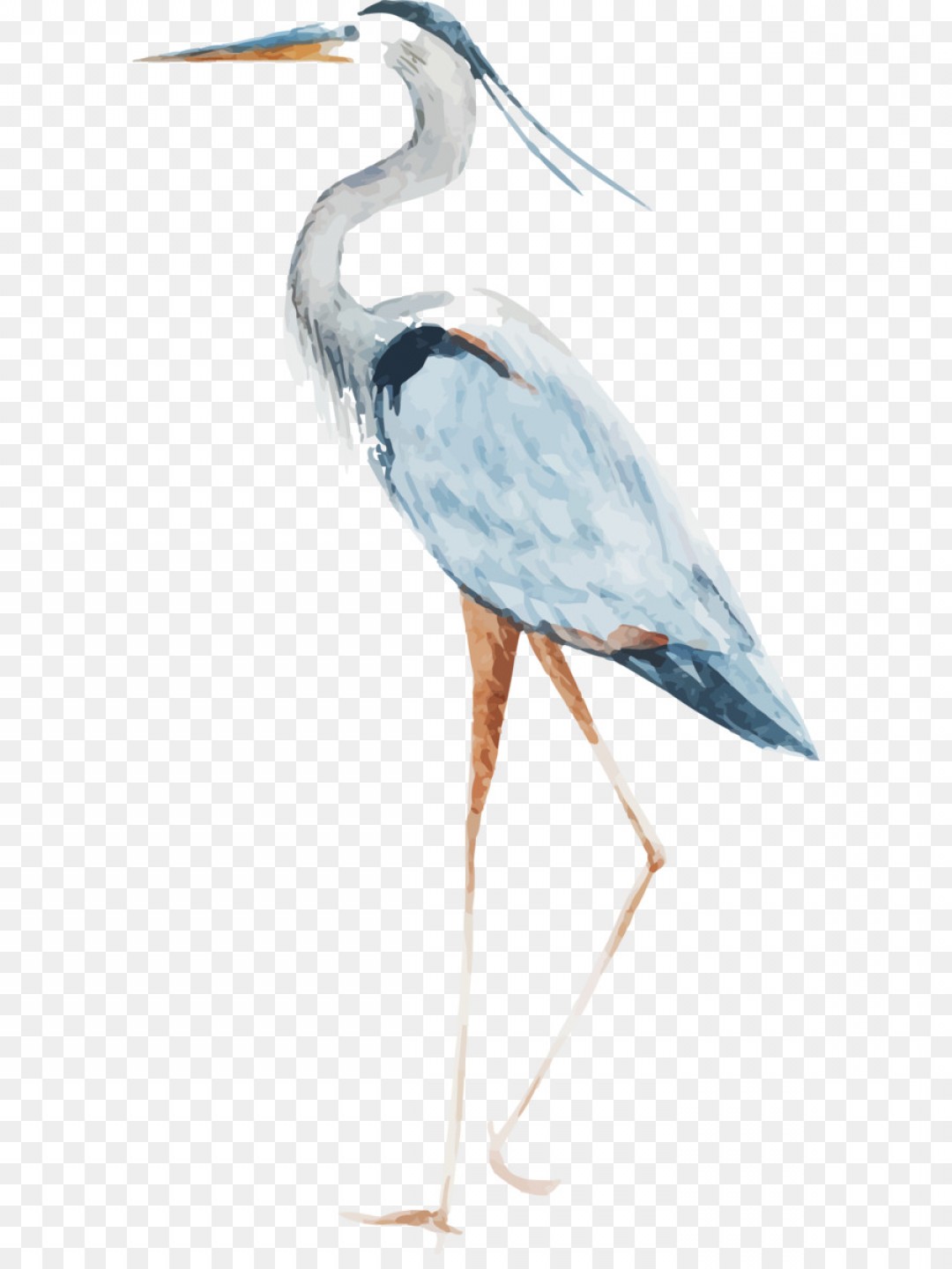 1080x1440 Vectors Heron Catchsplace