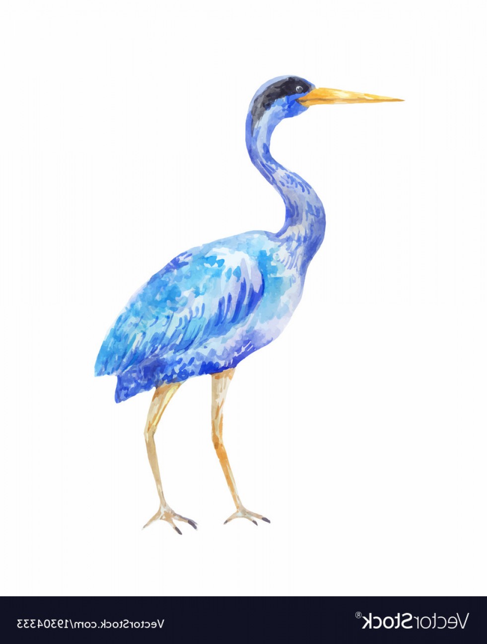 Blue Heron Vector at Vectorified.com | Collection of Blue Heron Vector