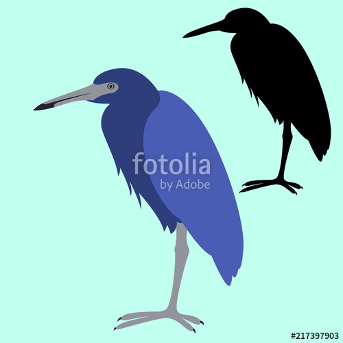 500x500 Blue Heron Vector Illustration Flat Style Black Silhouette Stock