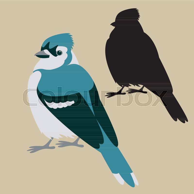 Blue Jay Bird Vector Illustration Flat Stock Vector Colourbox 800x800 Blue Jay Bird Vector Illustration Flat Stock Vector Colourbox