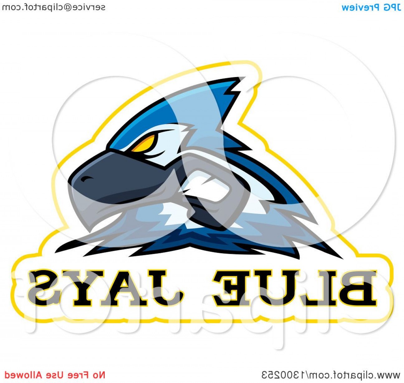 Clipart Of A Tough Blue Jay Bird Mascot Head With Text Royalty 1296x1228 Clipart Of A Tough Blue Jay Bird Mascot Head With Text Royalty