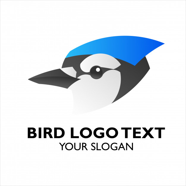 Exotic Blue Jay Bird Logo Icon Vector Premium Download 626x626 Exotic Blue Jay Bird Logo Icon Vector Premium Download