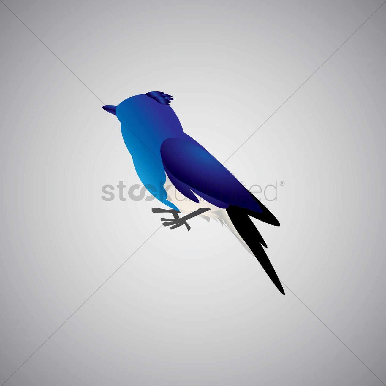 Free Blue Jay Bird Vector Image 1300x1300 Free Blue Jay Bird Vector Image
