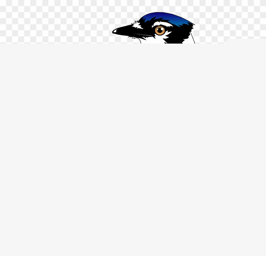 Bird Free Vector 880x846 Bird Free Vector
