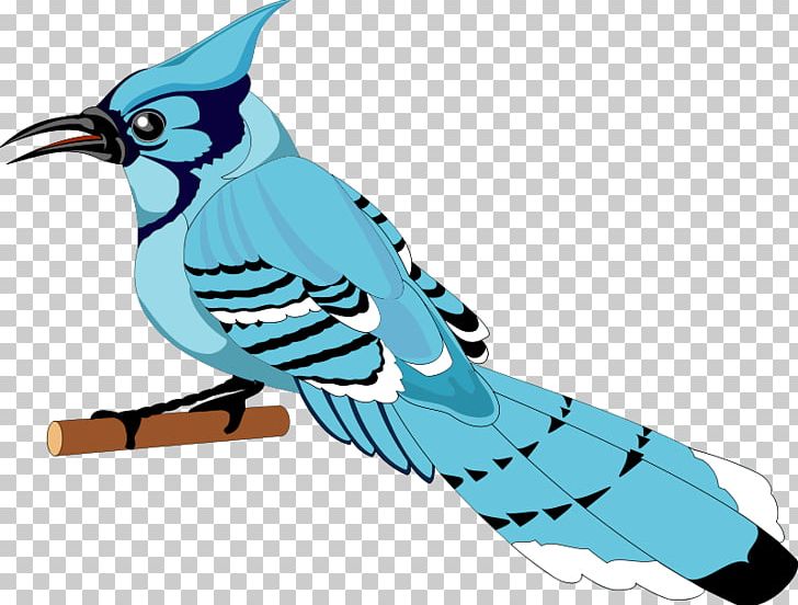 Toronto Blue Jays Bird Png, Clipart, Artwork, Beak, Bird, Bird 728x552 Toronto Blue Jays Bird Png, Clipart, Artwork, Beak, Bird, Bird