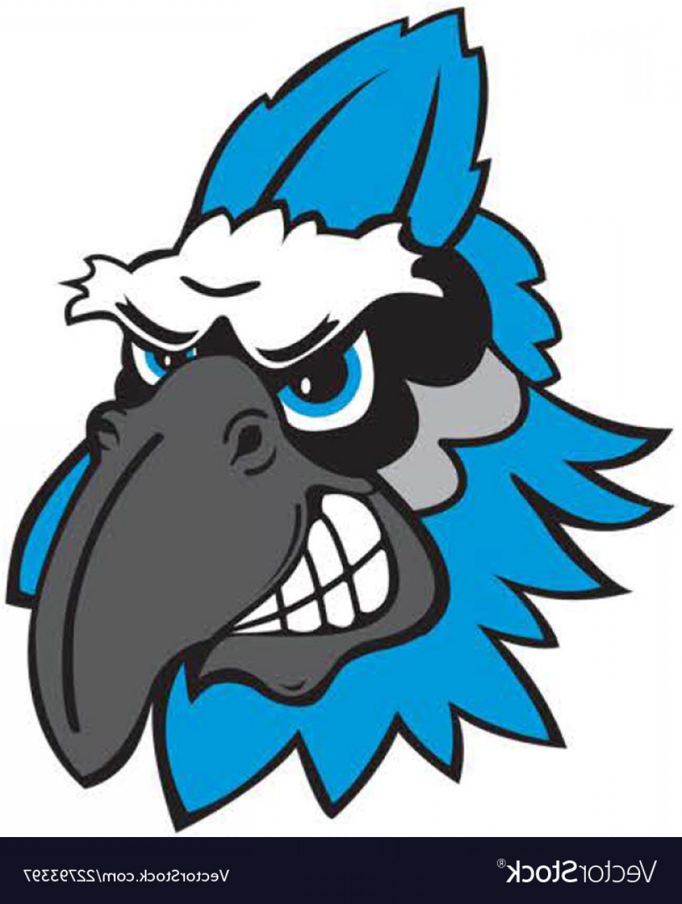 Blue Jay Head Sports Logo Mascot Vector Wallkeeper 978x1296 Blue Jay Head Sports Logo Mascot Vector Wallkeeper