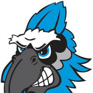 Blue Jay Head Sports Logo Mascot Vector Wallkeeper 300x300 Blue Jay Head Sports Logo Mascot Vector Wallkeeper