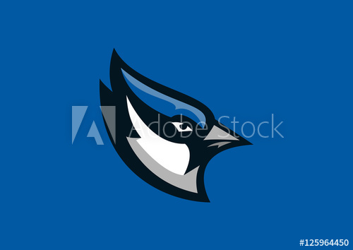 Blue Jay Bird Sport Mascot 500x354 Blue Jay Bird Sport Mascot