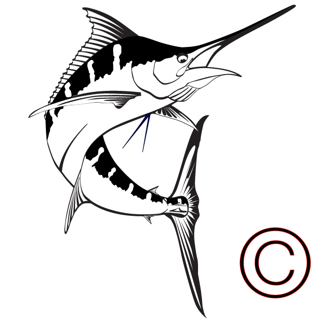650x650 Blue Marlin Vector Art