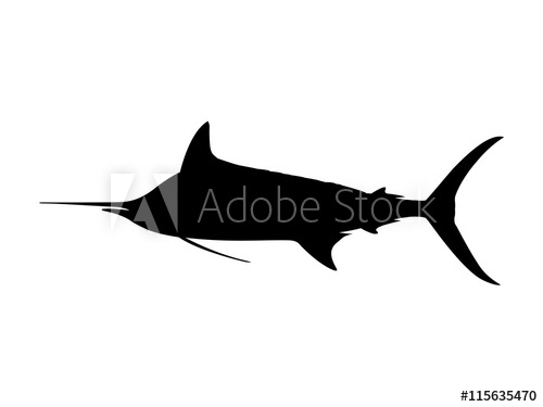 500x375 Atlantic Blue Marlin Silhouette Vector Illustration