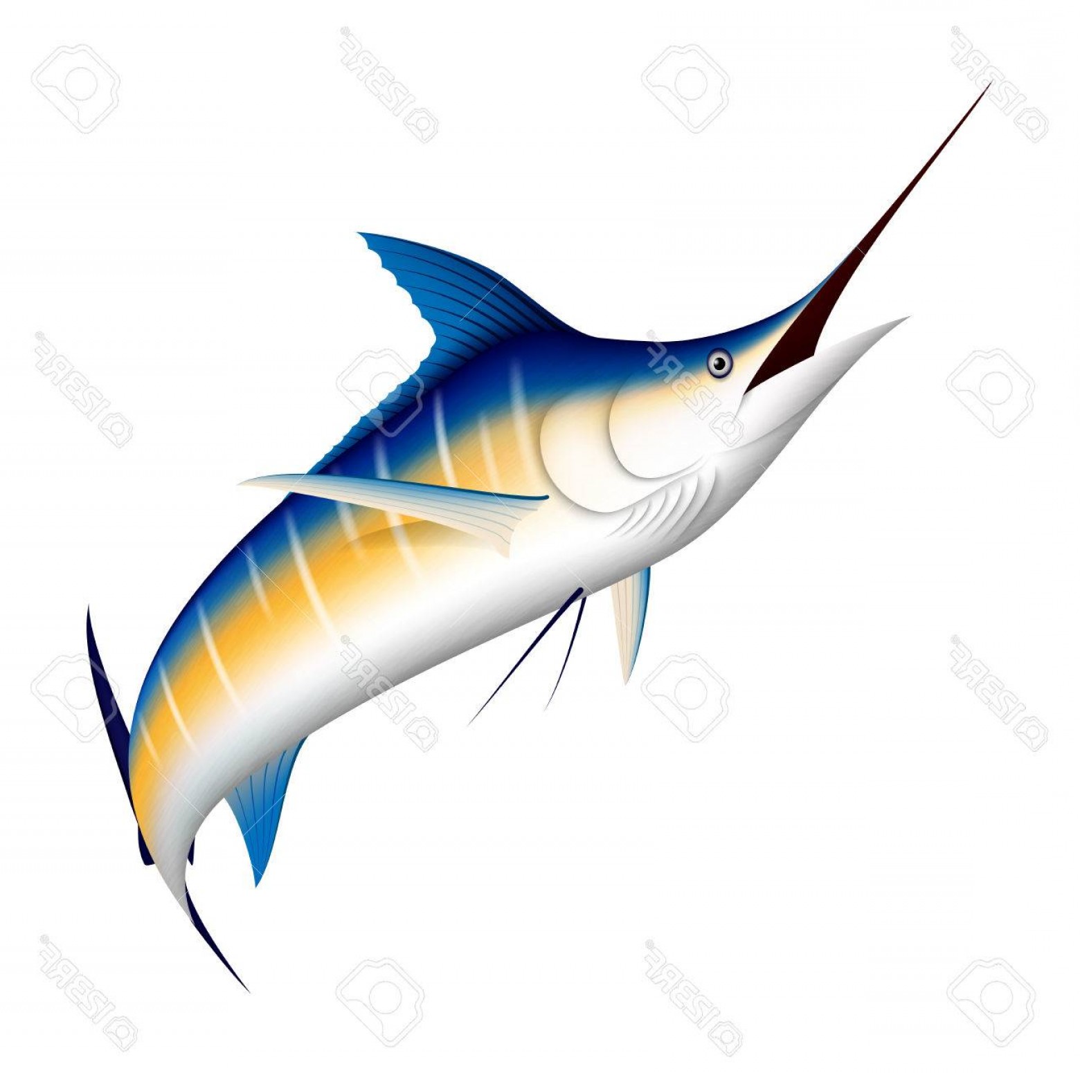 1560x1551 Marlin Fish Vector Geekchicpro