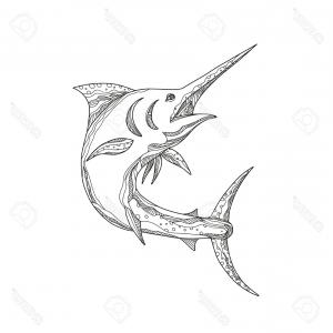 300x300 Photostock Vector Atlantic Blue Marlin Outline Image Newwaysys
