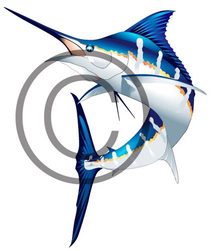 425x500 Beautiful Custom Vector Illustration Of A Jumping Blue Marlin