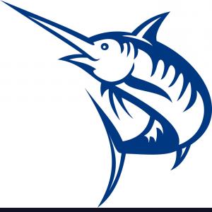 300x300 Stock Illustration Blue Marlin Fish Vector Drawing Hoodamathrun