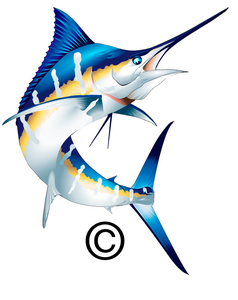 238x300 Blue Marlin Clipart For Free Free Images