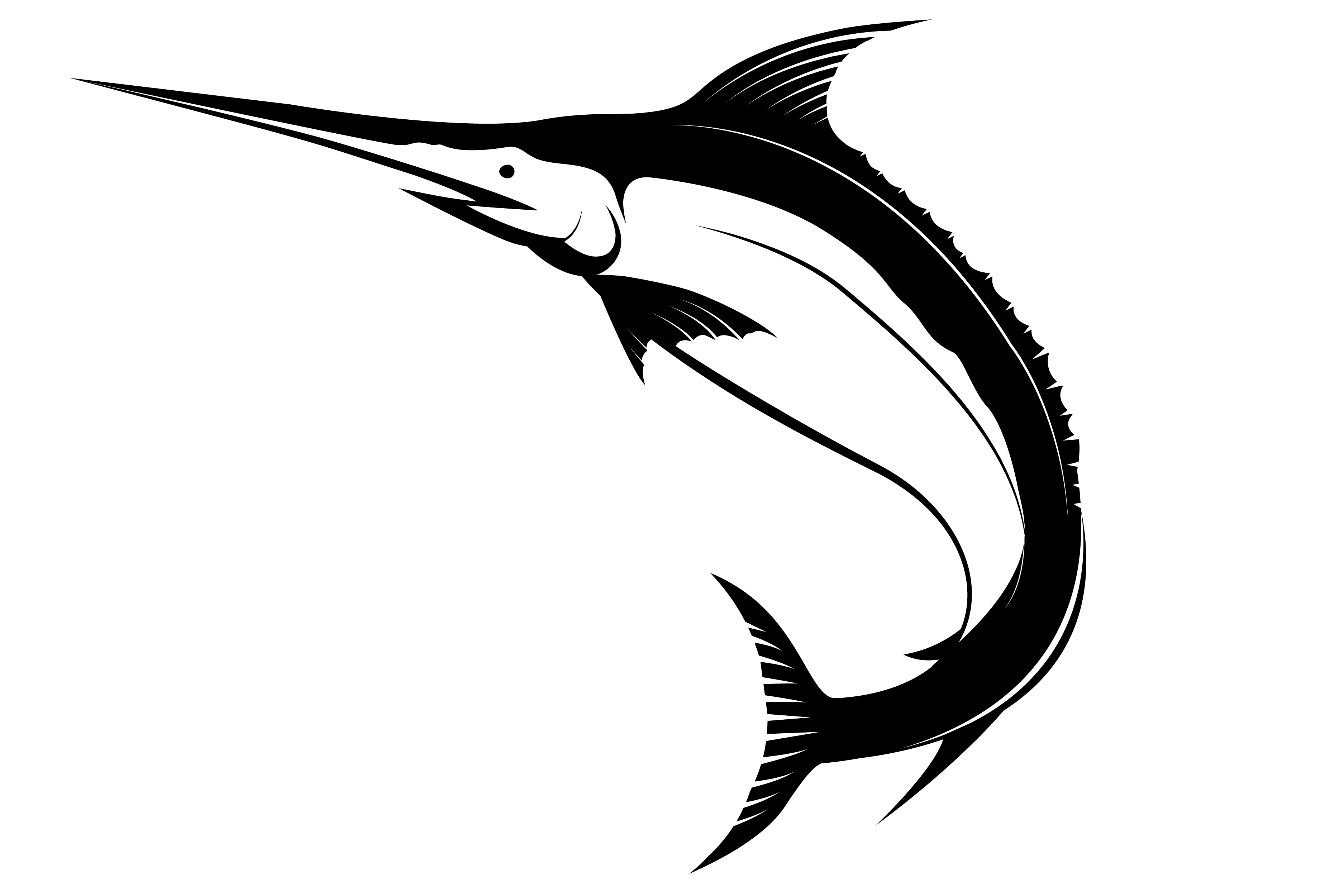 3750x2500 Blue Marlin Free Vector Art