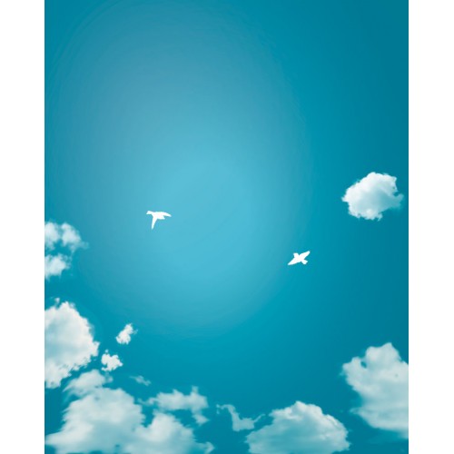 500x500 Birds Cloud In The Blue Sky Background Vector