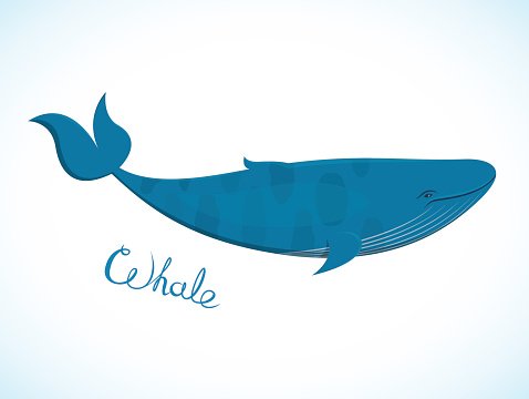 Blue Whale Vector