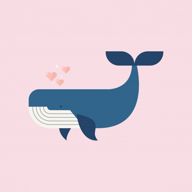 626x626 Blue Whale With Hearts Vector Premium Download